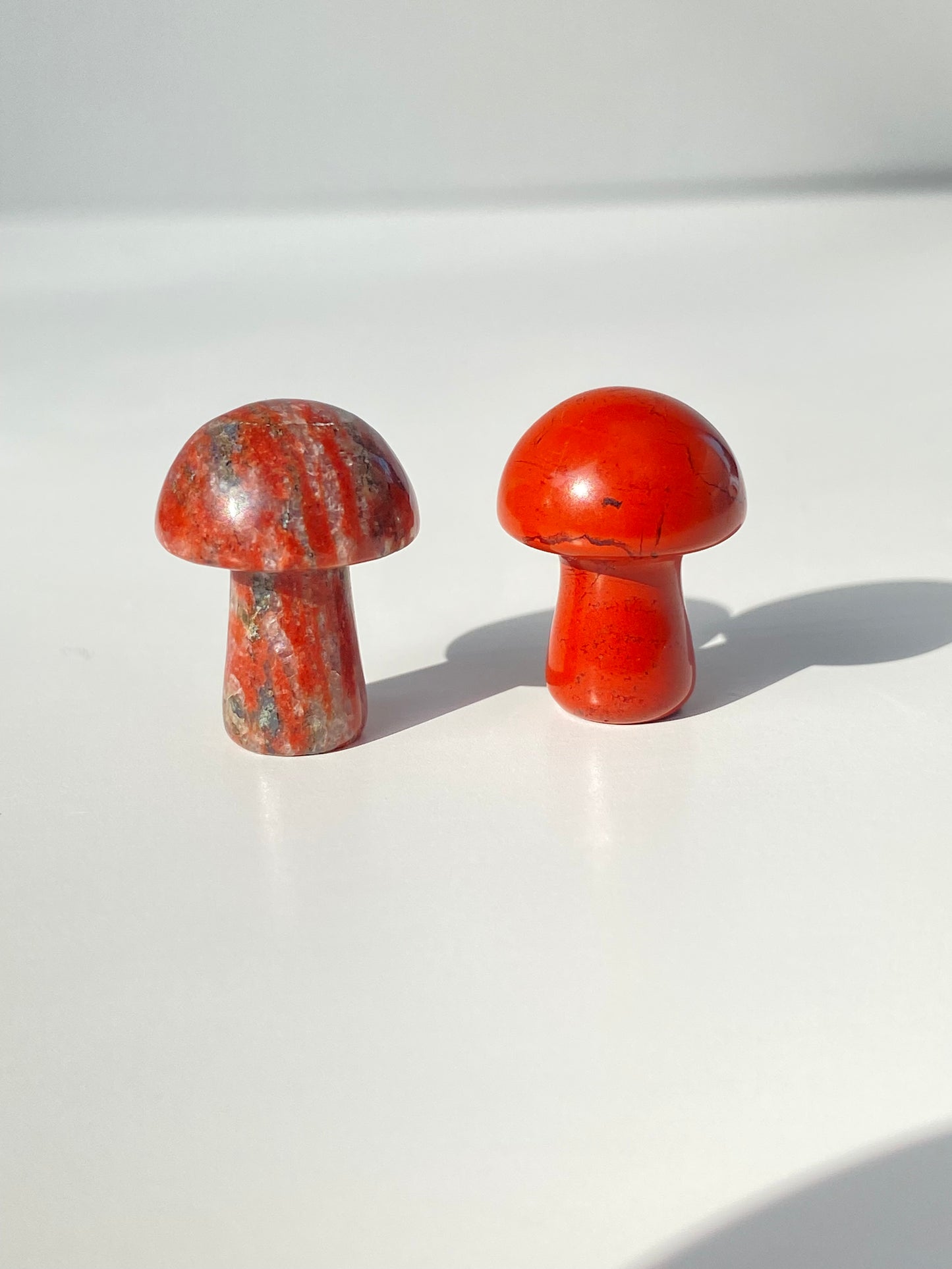 Mini Mushroom