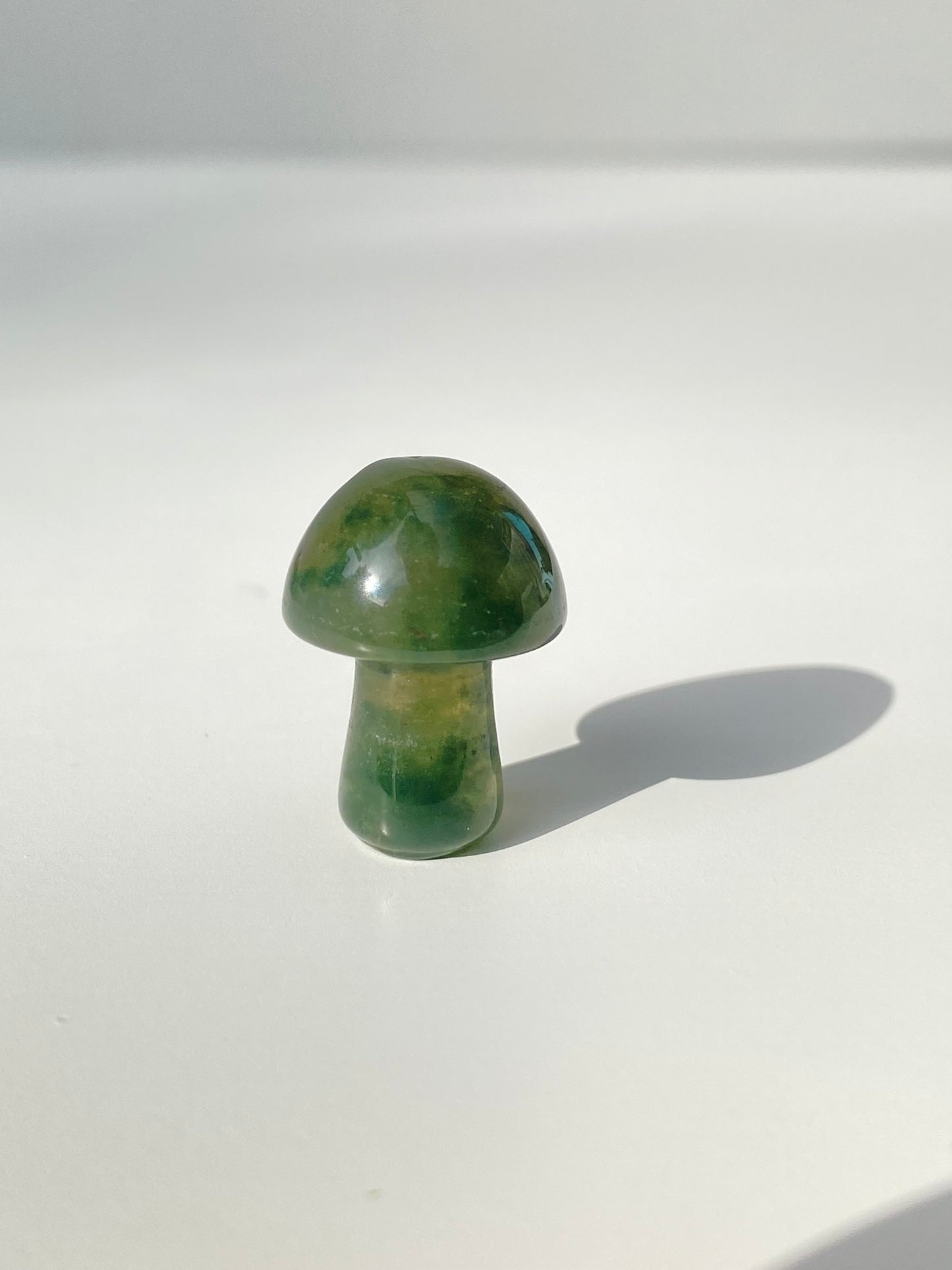 Mini Mushroom