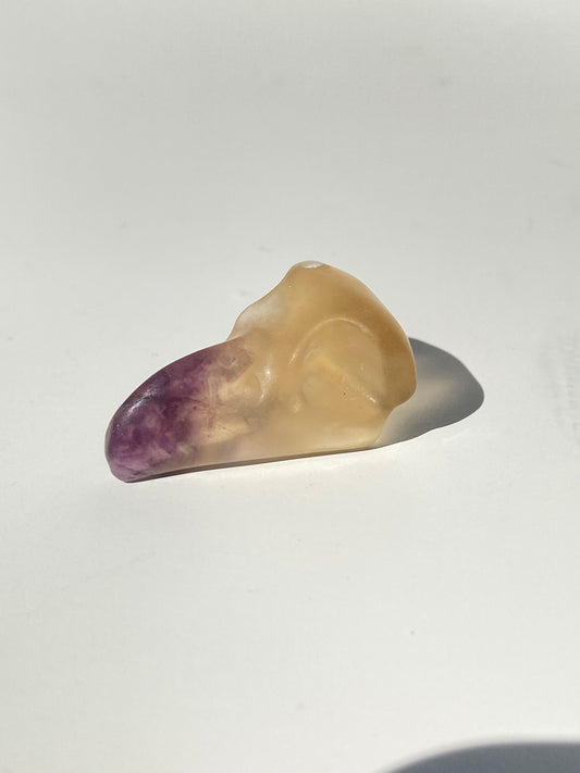 Fluorite Raven Skull