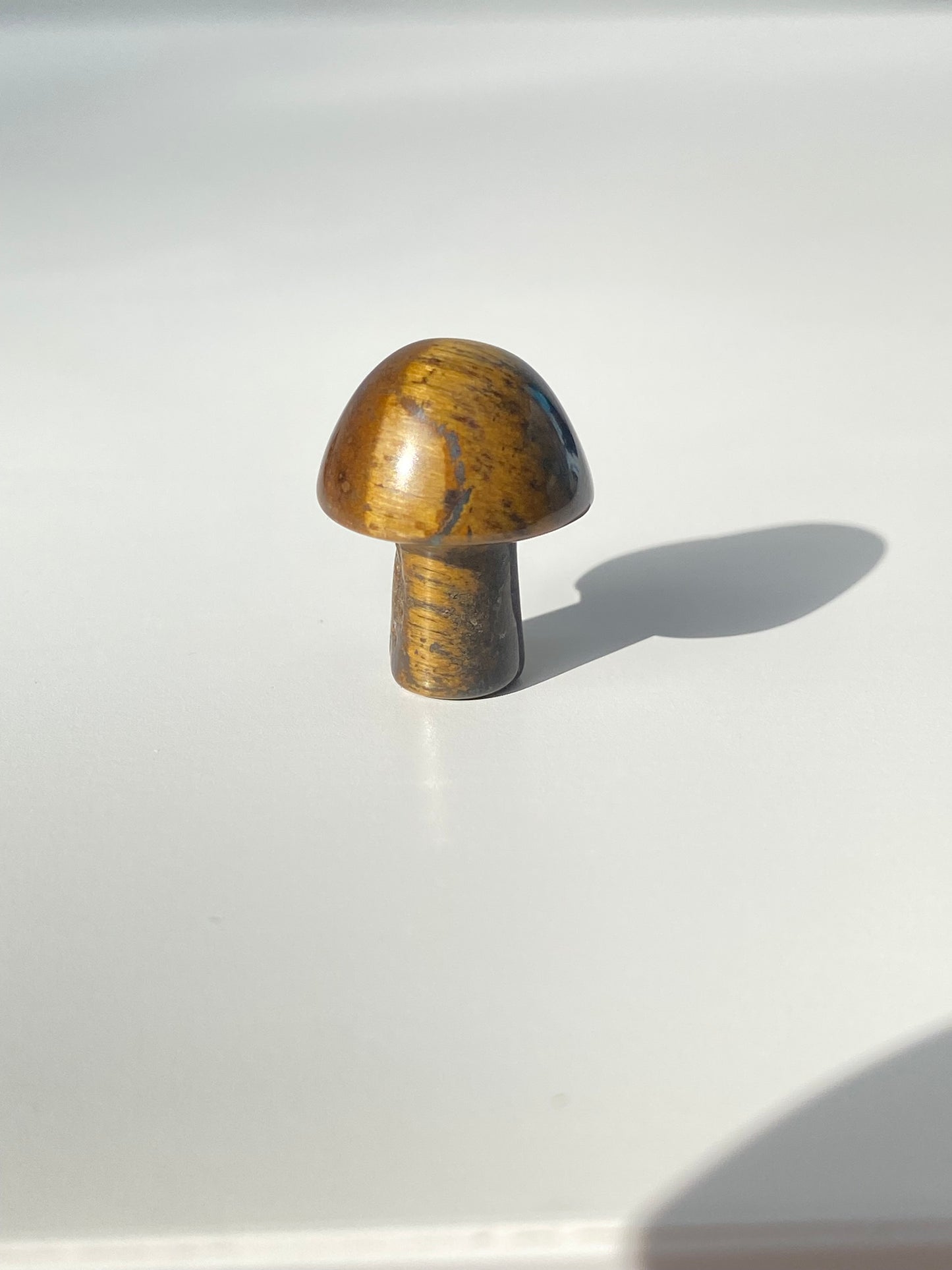 Mini Mushroom