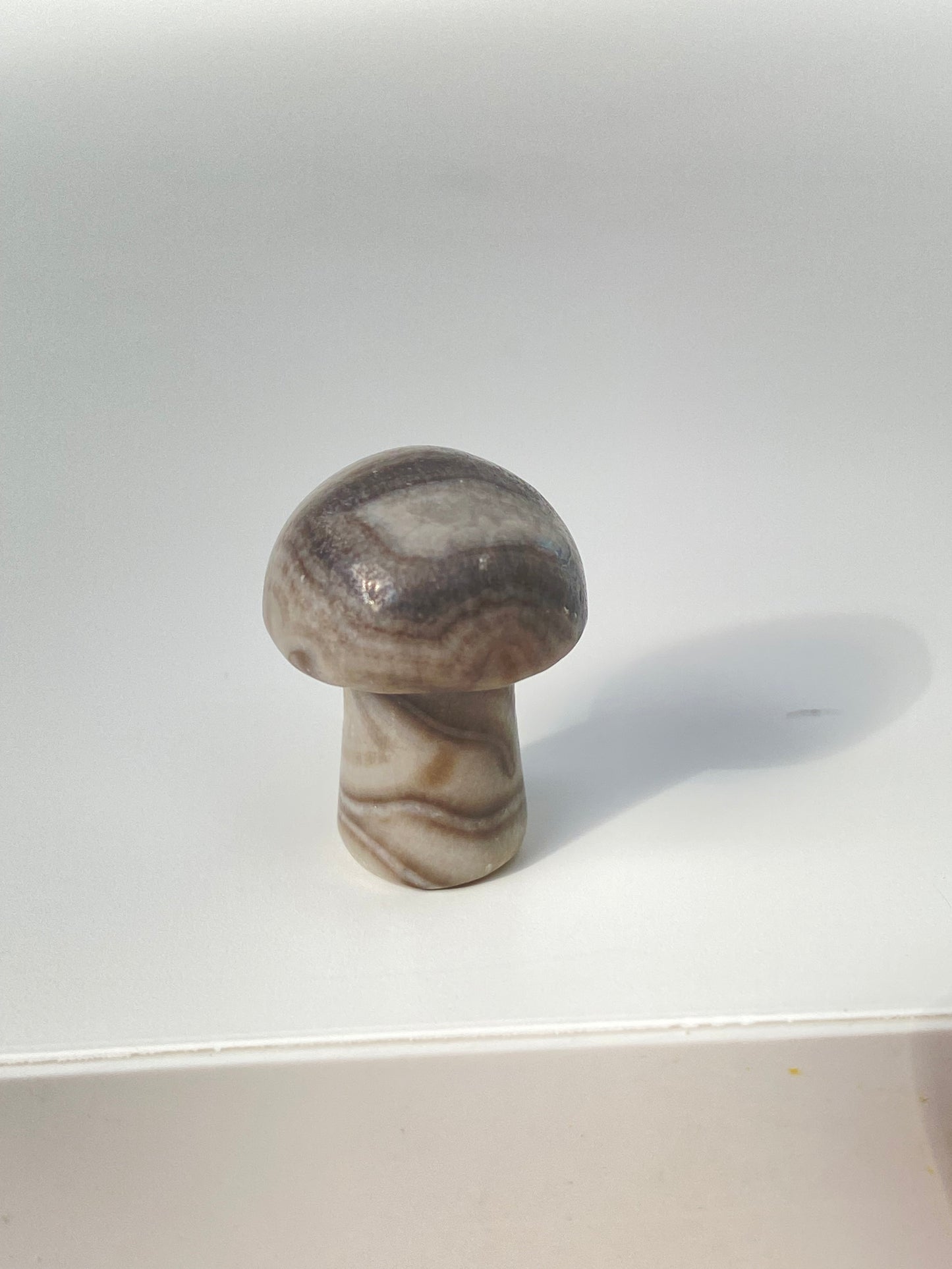 Mini Mushroom