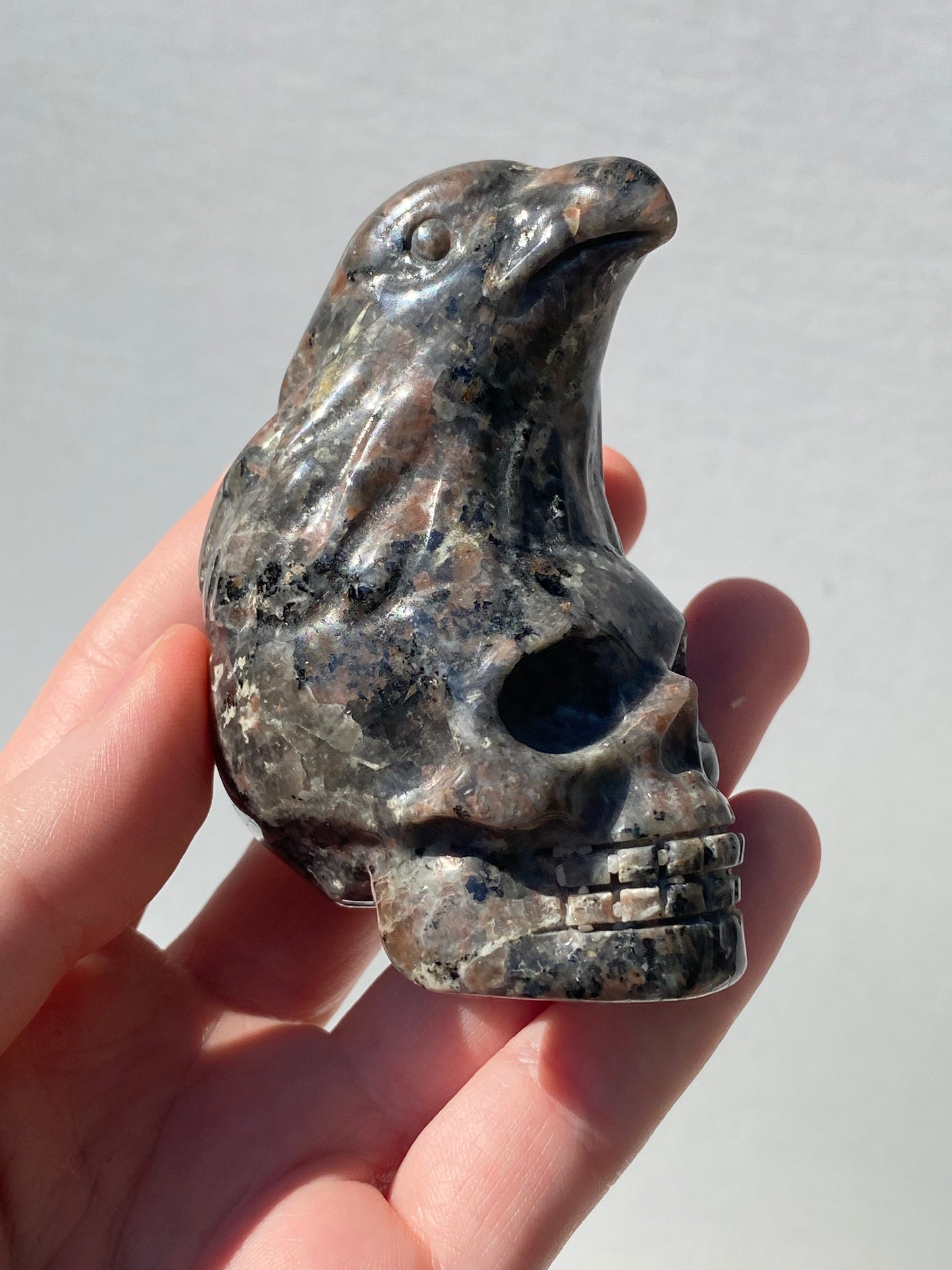 Yooperlite Eagle Skull