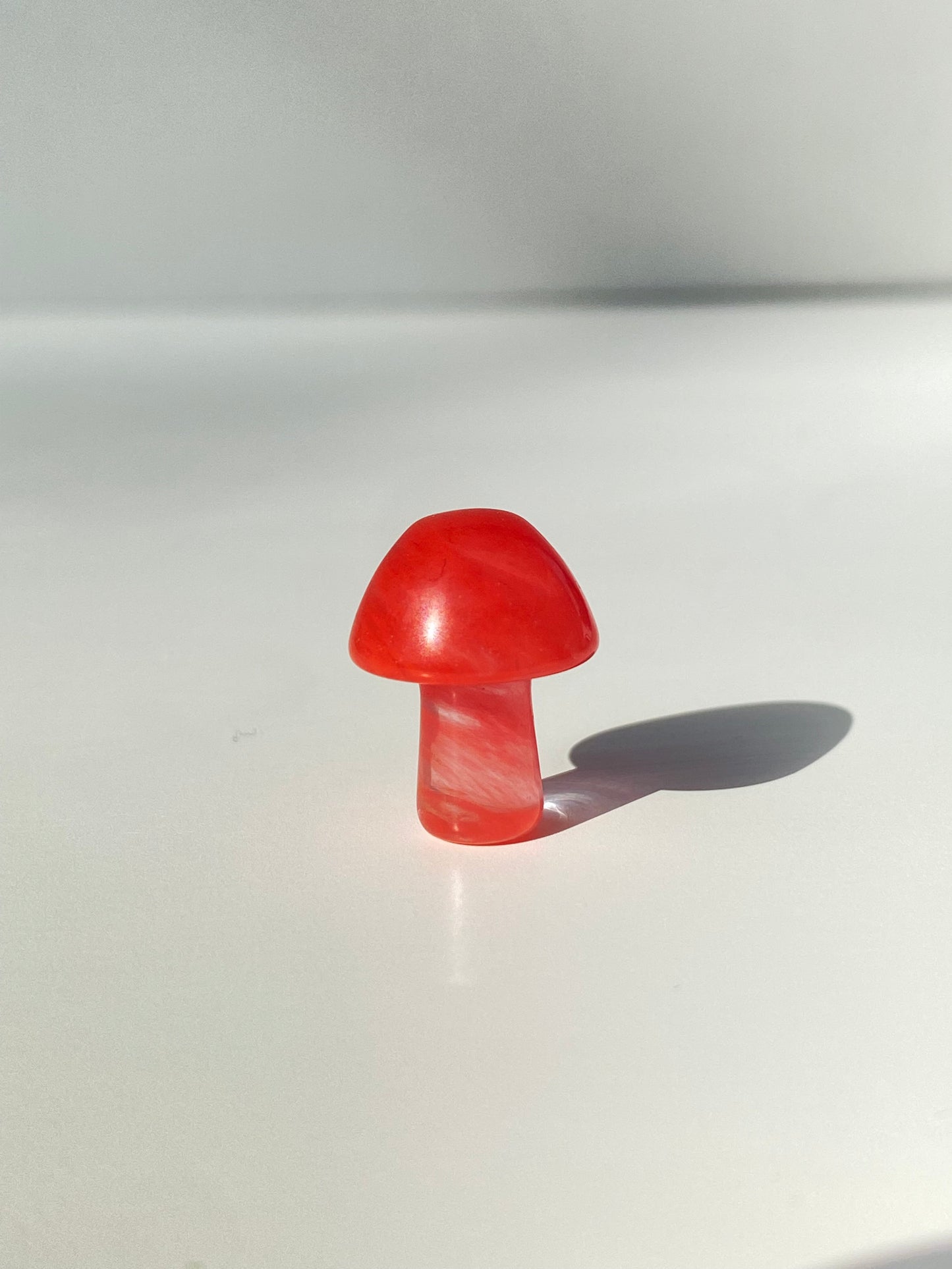 Mini Mushroom