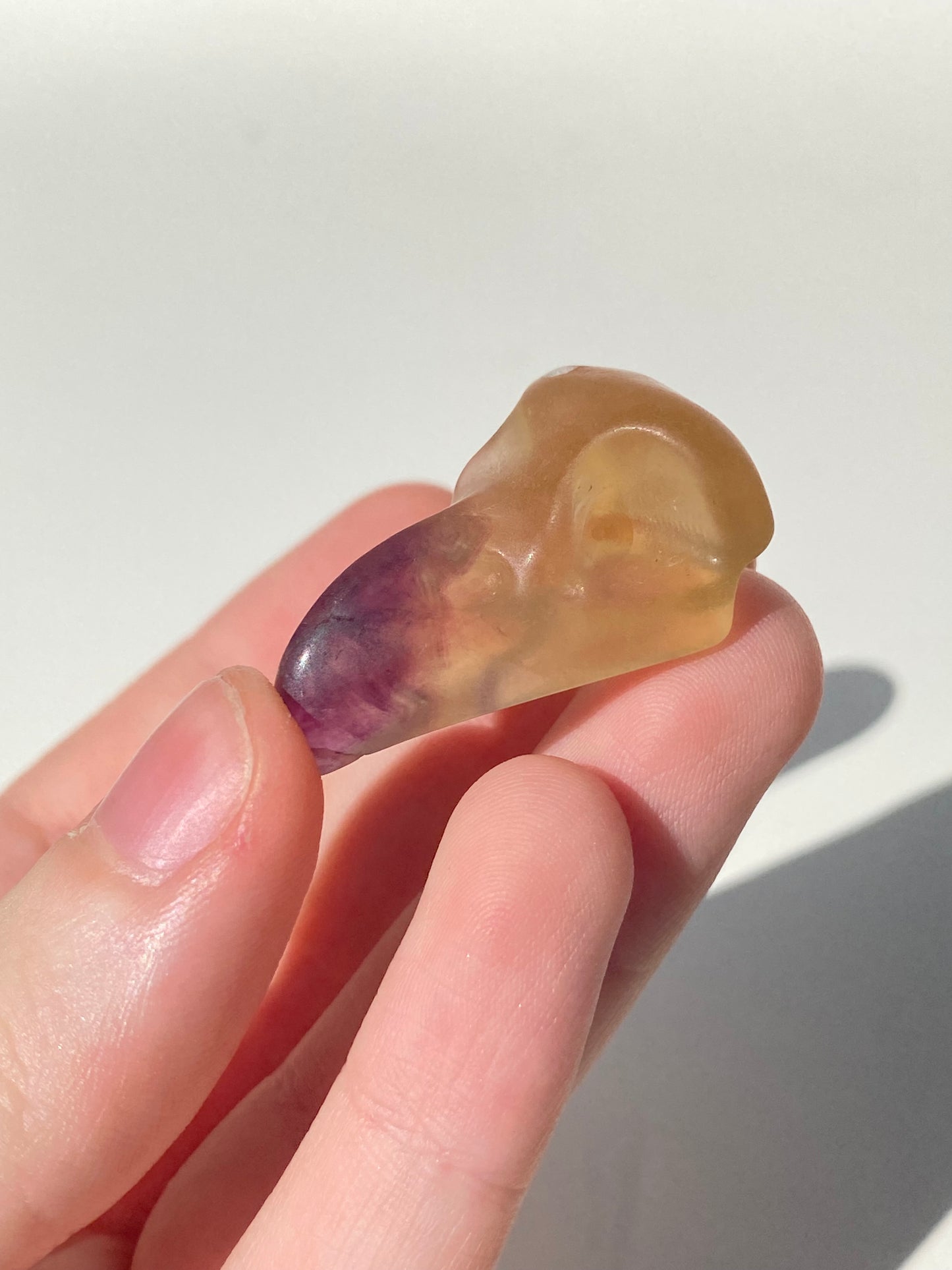 Fluorite Raven Skull