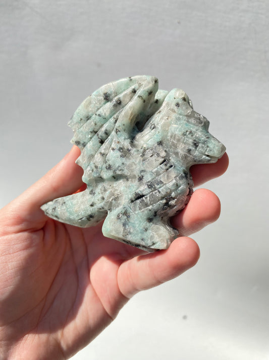 Kiwi Jasper Dragon