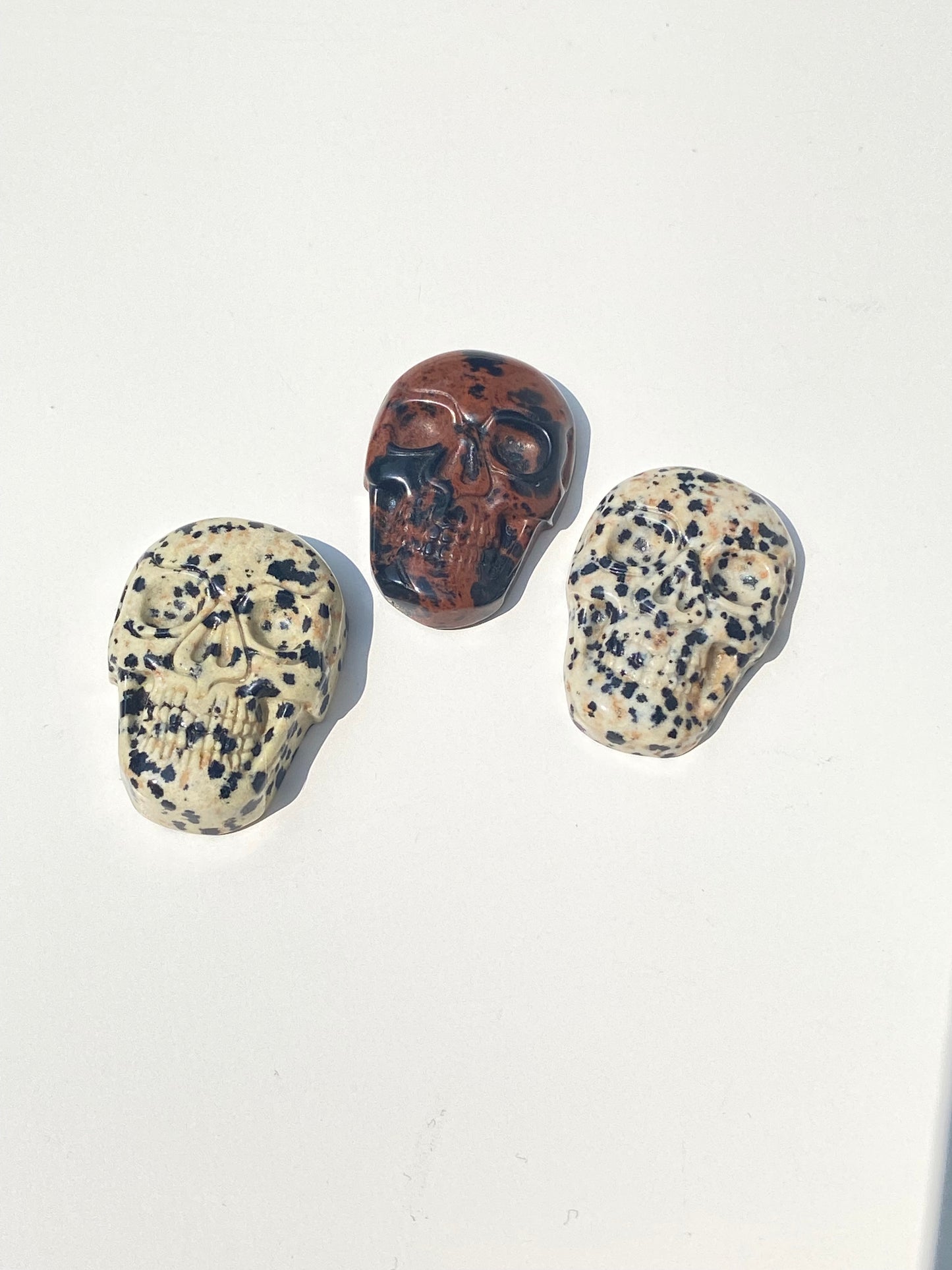 Cabochon Skull