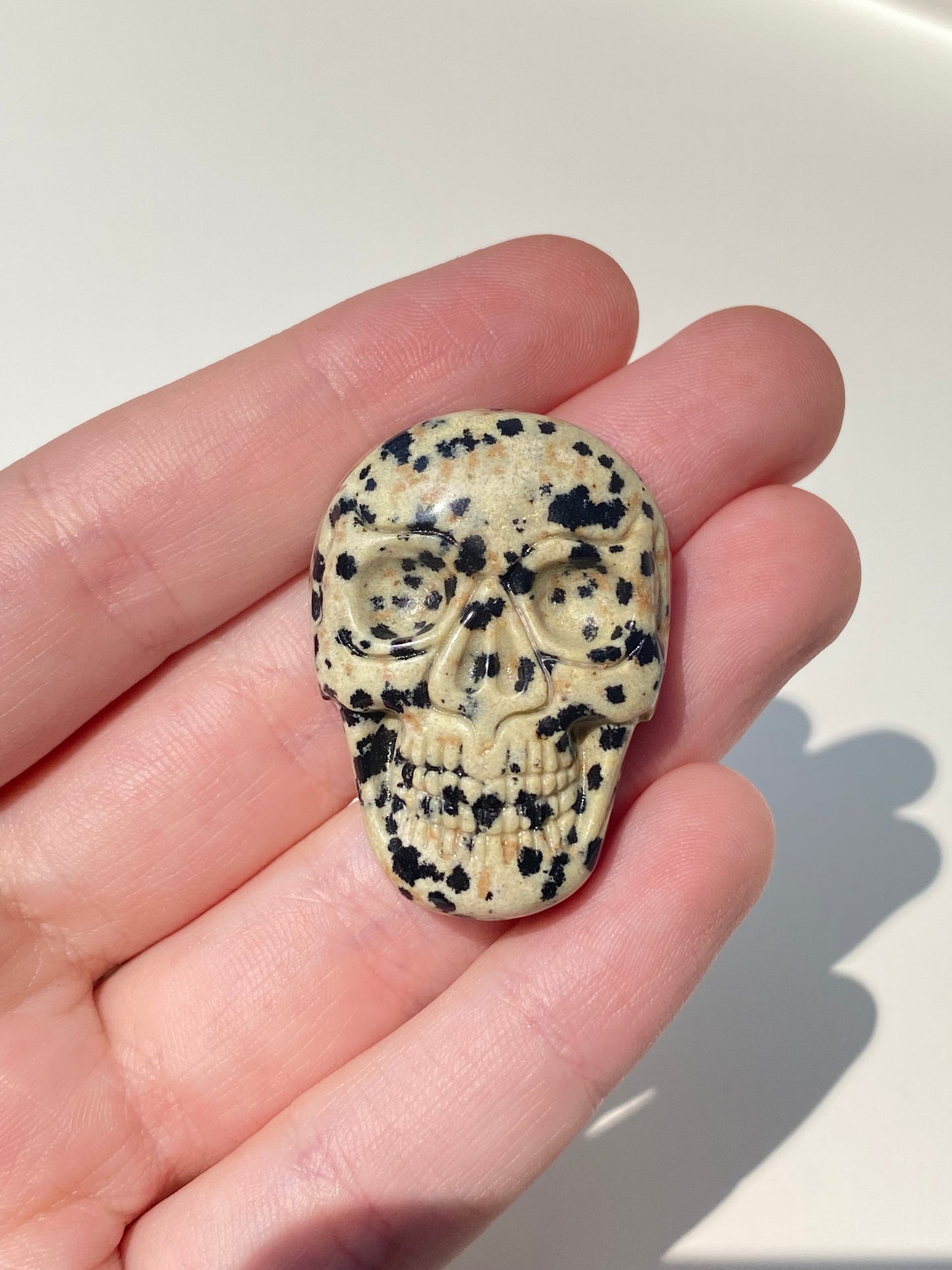 Cabochon Skull