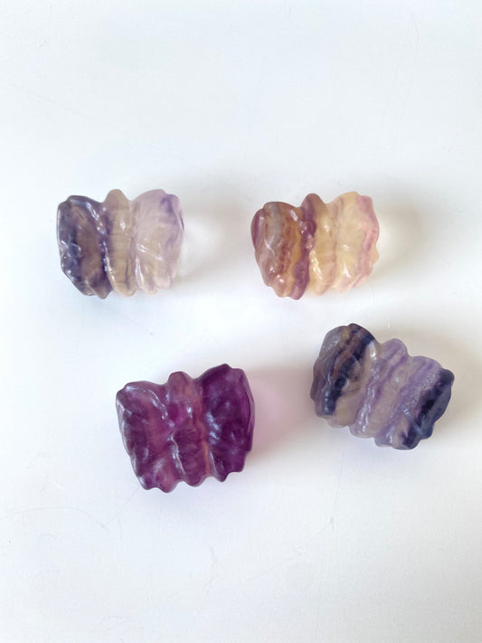 Rainbow Fluorite Butterfly